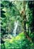 Waterfall, the road to Hana
